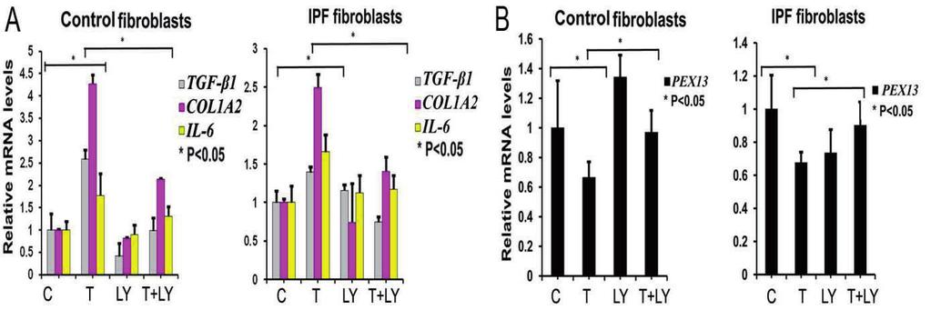 TGF- signaling was specifically blocked using the TGF- 1 receptor inhibitor LY364947 (Fig. 21B-C and 22D-E). TGF- 1 treatment also increased ROS production in these fibroblasts (Fig.