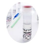 MEC Product Portfolio In Vitro Maturation Biopsy Micropipets Oocyte Retrieval Sperm