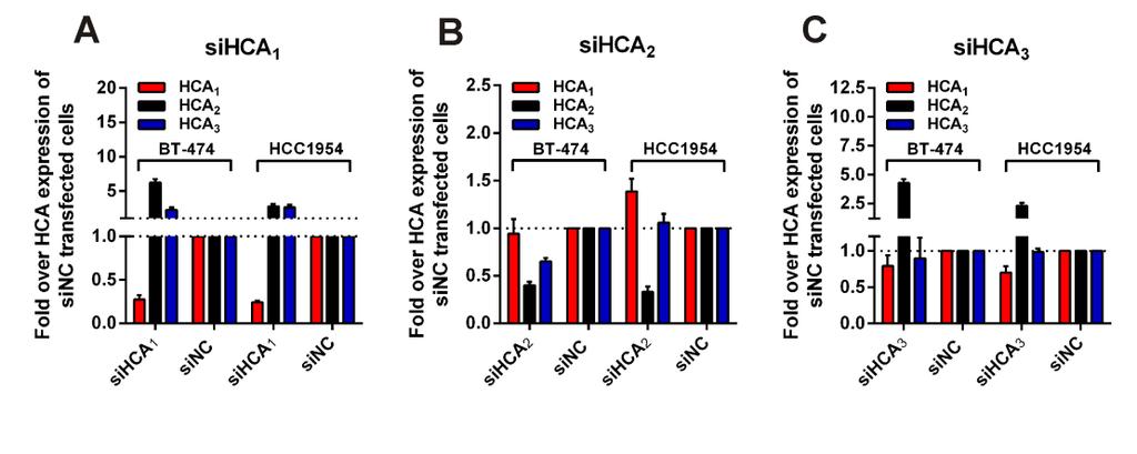 Stäubert et al. Page 12 Figure S4: HCA mrna expression levels in BT-474 and HCC1954 48h after sirna transfection.