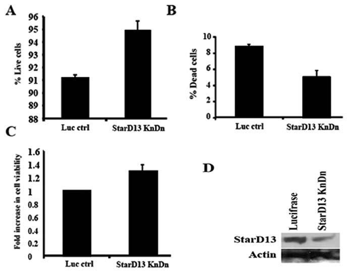 ONCOLOGY REPORTS 28: 511-518, 2012 515 Figure 4. StarD13 underexpression increases cell viability. Cells were either transfected with luciferase control sirna or with StarD13 sirna.