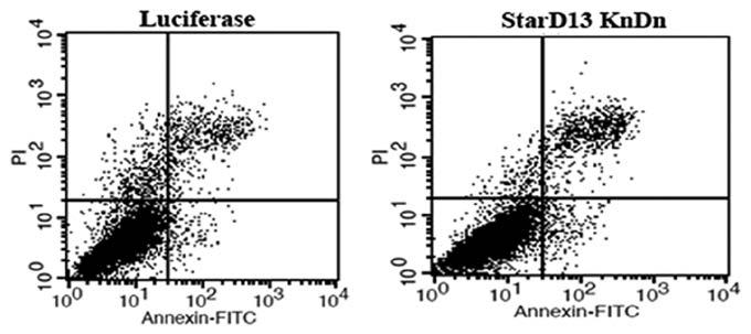 516 EL-SITT et al: StarD13 A TUMOR SUPPRESSOR IN ASTROCYTOMA Figure 6. StarD13 had no significant effect on apoptosis.