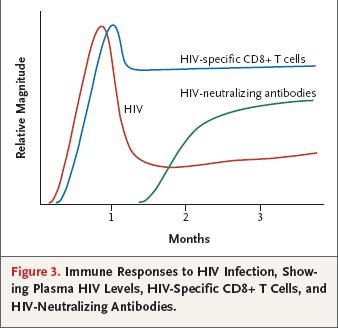 Immune responses against HIV Jhonston M