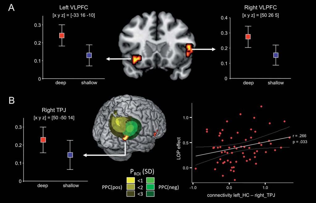 r Schott et al. r Preferential increases in functional connectivity with the left hippocampus related to successful episodic memory encoding in the deep study condition.