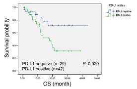 EGFR mutations in NSCLC EGFR mutation induces PD-L1 expression PD-L1+/ EGFR mutated patients treated with EGFR TKIs tended to have better prognosis 1 High PD-L1 expression was associated with EGFR
