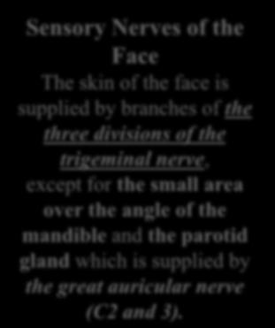 Sensory Nerves of the Face The skin of the face is supplied by