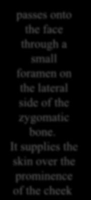 through a small foramen on the posterior