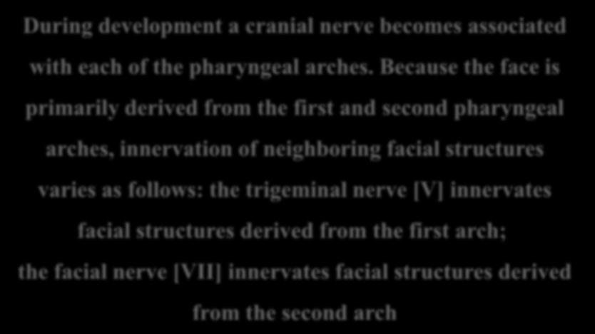 During development a cranial nerve becomes associated with each of the pharyngeal arches.