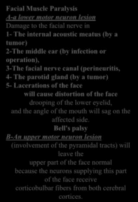 Facial Muscle Paralysis A-a lower motor neuron lesion Damage to the facial nerve in 1- The internal acoustic meatus (by a tumor) 2-The middle ear (by
