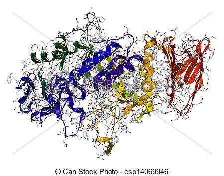 http://www.laney.edu/wp/cheli fossum/files/2012/01/10 Enzymes.pdf Enzyme Catalysis Enzymes are proteins that act as catalysts for biological reactions.