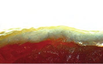 In vitro time lapse microscopy showing conformability of two silver-containing dressings with a simulated uneven wound surface (porcine belly tissue).