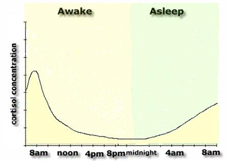 Cortisol Diurnal Rhythm and its Markers Slope = average rate of decline from wakeup to bedtime (w/o CAR) CAR = wakeup + 40 min minus wakeup