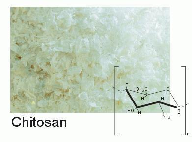 CHITOSAN APPLICATION Application Commercial chitosan is usually offered Nutritional Uses: Dietary Fibre as flakes or powder.