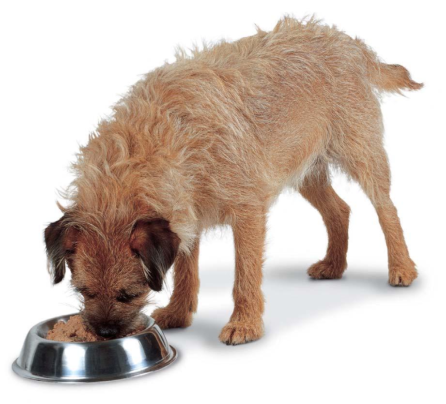 VNA 1 CHAPTER 2 QUALITY CONTROL Let your client know Hill s requires its suppliers to certify (that is, to put in writing) that their raw ingredients will satisfy Hill s exacting requirements. 1.2 Suppliers Pet foods contain numerous raw materials from many suppliers.