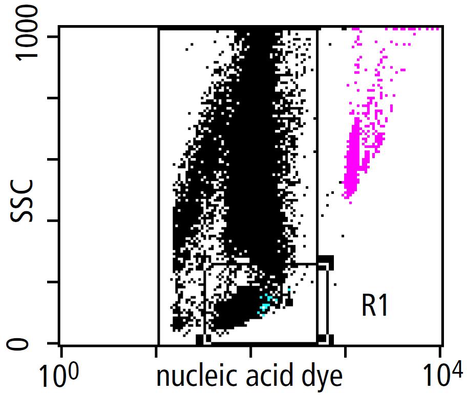 Problem A small cluster of events that look like beads appear just below R5 in the nucleic acid dye vs CD34 plot (1).