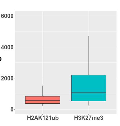 H2AK121u Length H3K27me3 18 18 H2AK121u H3K27me3 18 18 Figure S3. Genome wide localization of H2AK121u and H3K27me3 marks in Araidopsis WT seedlings at 7 DAG.