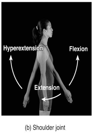 Flexion and Extension at the elbow joint Hyperextension at the shoulder