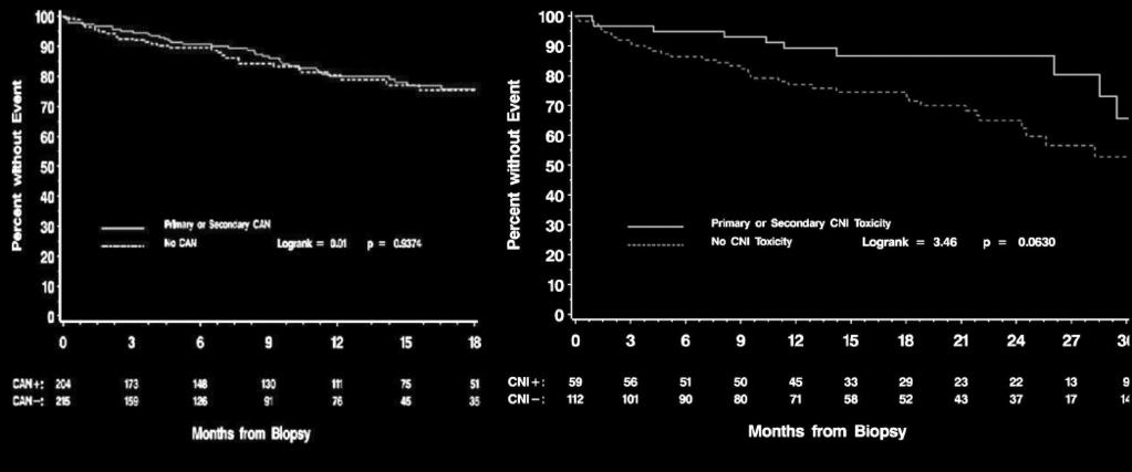 Graft Survival in DeKAF Impact of Diagnosis of CAN or CNI Nephrotoxicity CAN Does not Predict Subsequent Graft Failure: DEKAF Study n=440 troubled grafts
