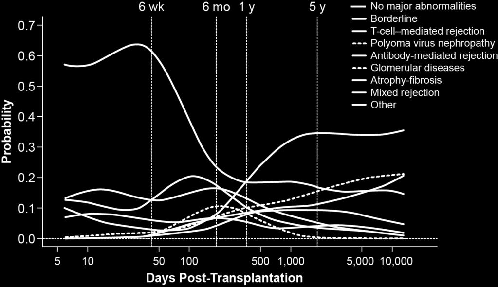 Status Expressed as Probability Plots Conditional on Time of Biopsy Post
