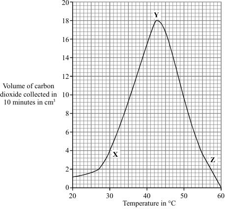Q2. Fermentation of sugar by yeast produces carbon dioxide. The graph shows the effect of temperature on the production of carbon dioxide by fermentation.