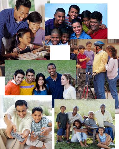 New Jersey Alliance of Family Support Organizations Annual Membership Report 2011-2012