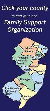 Network of Family Support Organizations New Jersey has the most comprehensive youth and family infrastructure the nation!