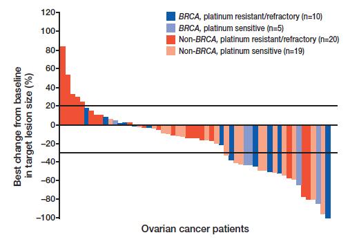 Response by BRCA status: ORR 41% with BRCAm