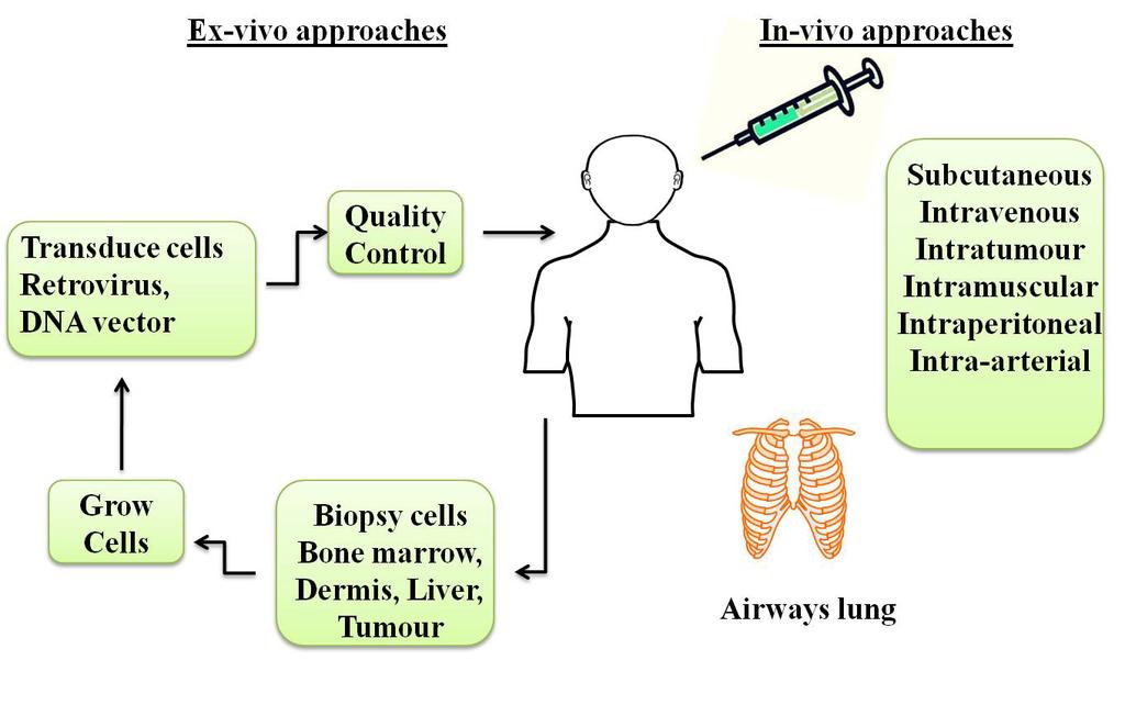 Figure 7.3 Clinical ex vivo and in vivo approach: In vivo, the transgene can be directly injected by various routes based on the clinical condition of the patient and design of the vector.