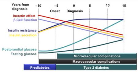 Defronzo RA. Diabetes. 2009;58:773-795; Holman RR. Diabetes Res Clin Pract. 1998;40(suppl):S21-S25; U.K.