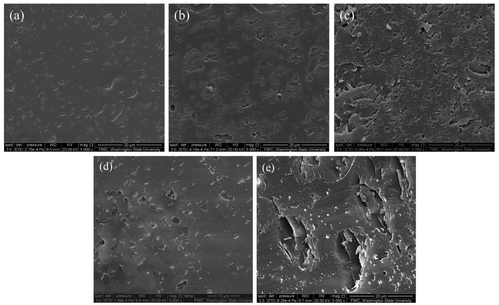 Phase morphology of PLA/lignin blends SEM micrographs of sliced cross-section surfaces of PLA/lignin