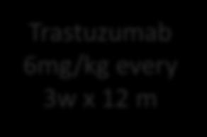 cycles Docetaxel 75mg/m2 + Trastuzumab 4mg/kg every 2w Trastuzumab