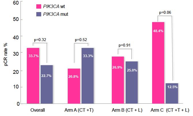 Neither DFS nor OS are statistically significantly different between pts with or without a PI3KCA mutation.