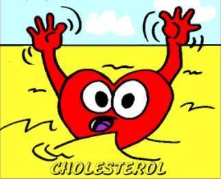 Cholesterol ( A type of fat) Everybody needs cholesterol, it serves a vital function in the body.