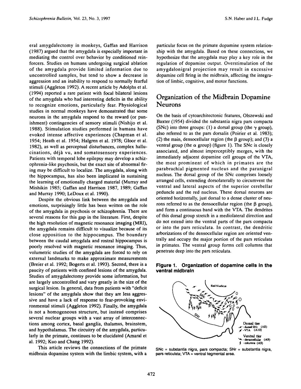 Schizophrenia Bulletin, Vol. 23, No. 3, 1997 S.N. Haber and J.L.