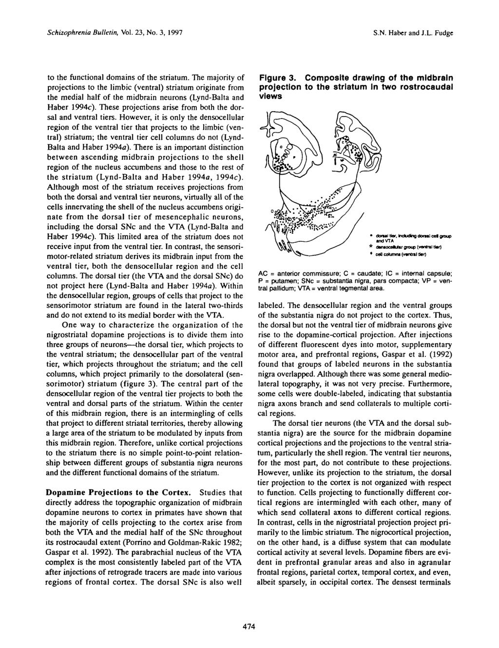 Schizophrenia Bulletin, Vol. 23, No. 3, 1997 S.N. Haber and J.L. Fudge to the functional domains of the striatum.