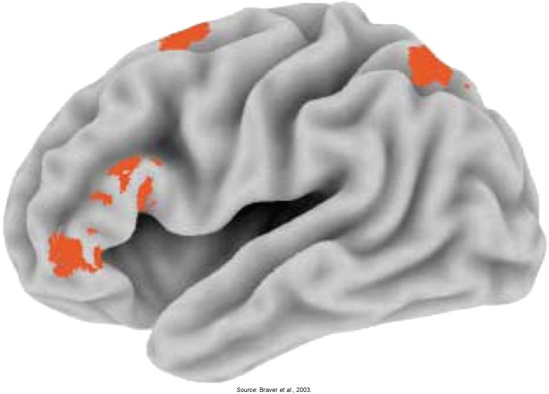 Explicit Problem Solving Brain areas involved in adapting to new rules -- or task