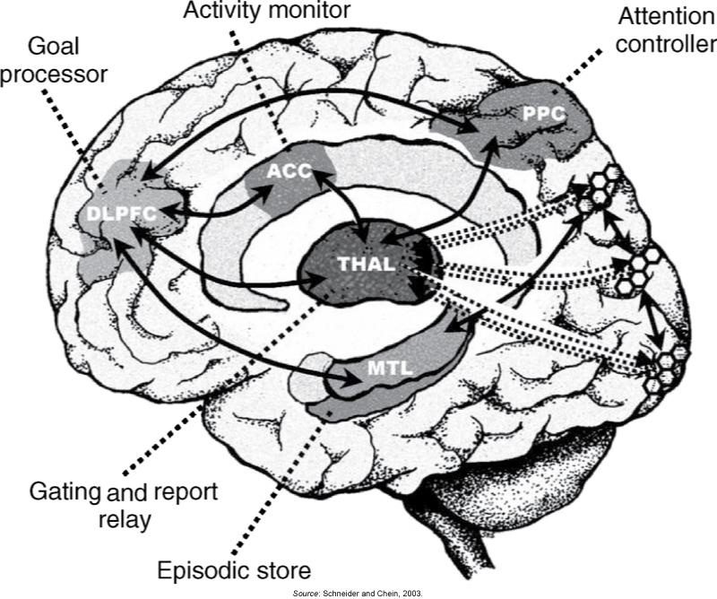 Explicit Problem Solving A current model for brain areas involved in explicit problem-solving: on the outer surface of each hemisphere, peak activity during