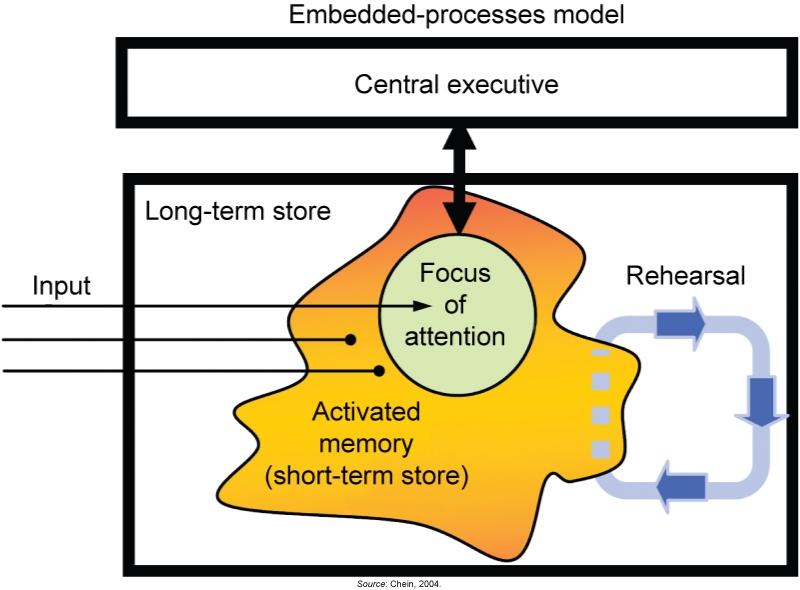 Short term vs Long term memory Working memory constantly activates long-term storage Cowan 2001s suggests that working