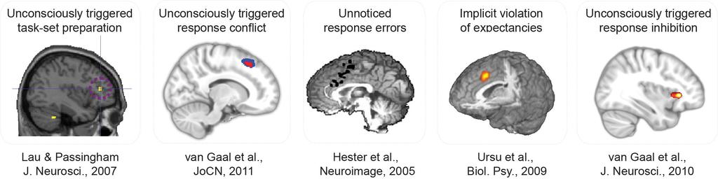 Dehaene et al., Nat. Neurosci.