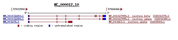 BLASTx. Figure 5: The top NP BLASTX result for region 90000-107000.