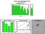 Computerized Dynamic Posturography Sensory Organization Test (SOT) SOT - 2009 SOT - 2010 SOT - 2011 SOT - 2012
