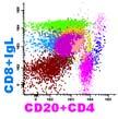 5 CD5 PE Cy7 APC APC H7 TCR CD3 CD38
