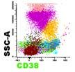 Blue CD4 Orange FITC  T lymphocytes