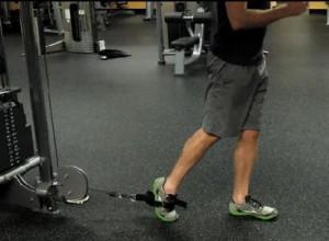 Use slow motions when bring the barbell up.