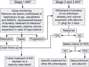Algorithm for Treatment of AKI in Cirrhosis Journal of Hepatology Volume 62, Issue 4,