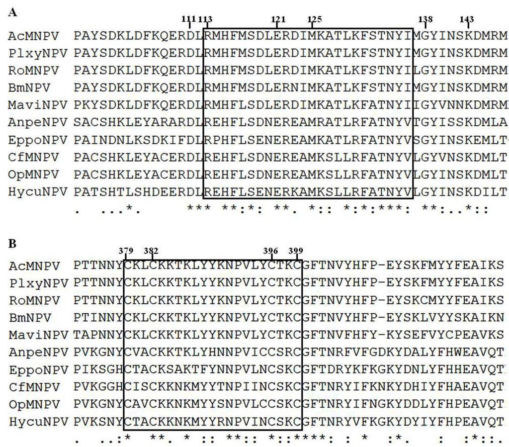 Figure 2.2. Conservation analysis of ME53s from Group I alphabaculoviruses. Amino acid sequence alignment of ME53 N-terminus (A) and C-terminus (B) by T-COFFEE online software.