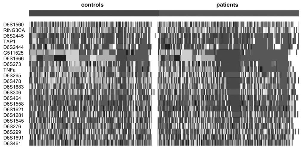 Clustering of identical haplotypes A color-transformed representation of the haplotypes of patients (n=248, right) and of controls (n=226, left) is shown in figure 5.