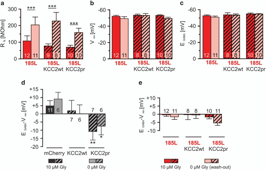 Mechanisms of KCC2-dependent neuroprotection 5 Figure 5 KCC2 does not rescue neuronal intrinsic membrane properties of neurons with enduring GlyR α3k 185L activation.
