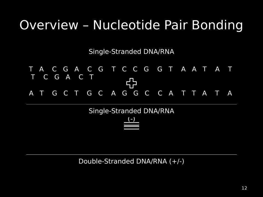 T T A T A Single-Stranded DNA/RNA