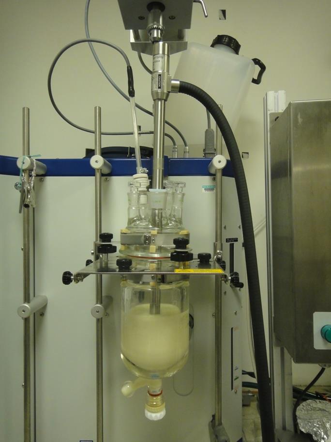CRYSTALLIZATION METHODS Material : 7 ml oil FBRM 1 L Mettler Toledo LabMax Automatic Lab Reactor with LASENTEC FBRM Model D6L Agitation speed: 5 rpm