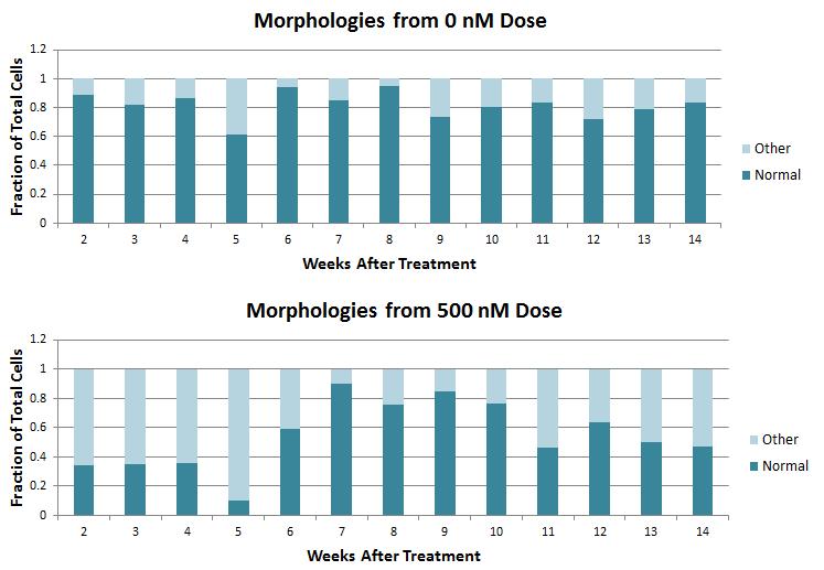 Figure 2 Quantification of Morphology Changes Arising from Doxorubicin Treatment.